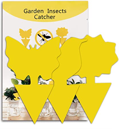 30 Pack Sticky Traps - Fruit Fly Traps for Indoor/Outdoor, Sticky Fly Traps Use for Catcher Gant， Plants Insects, Mosquitos Traps for House Plants(Yellow)