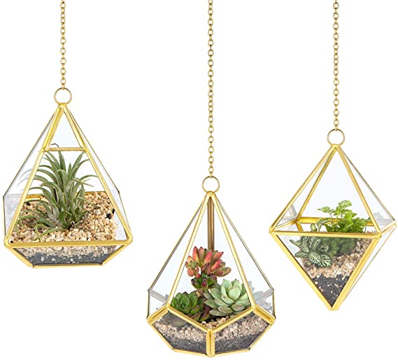 Mkono 3 Pcs Small Hanging Glass Terrarium Geometric Container Vertical Modern Planter Windowsill Decor DIY Box Centerpiece Gift for Succulent Fern Air Plant Miniature Fairy Garden (Plant Not Included)