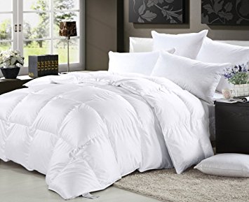 Elliz Luxurious Lightweight White Down Comforter Light Warmth Duvet Insert 100% Cotton 600 Fill Power, Full/Queen, White