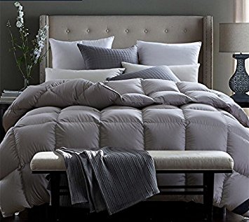 ROSE FEATHER Natural Goose Down Bedroom Comforter Duvet Insert 100% Organic Cotton 300TC 650 Filling Power Medium Warmth All Season,Gray