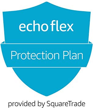 2-Year Protection Plan plus Accident Protection for Echo Flex (2019 release, delivered via e-mail)