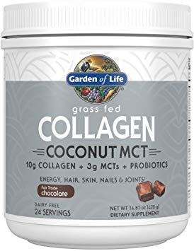 Garden of Life Grass Fed Collagen Coconut MCT Powder - Chocolate, 24 Servings, Collagen Peptides Powder for Energy Hair Skin Nails Joints, Coconut MCTs, Probiotics, Collagen Protein Powder Supplement