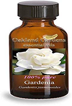 GARDENIA Essential Oil - 100% Therapeutic Grade - Gardenia jasminoides - powerful love attracting scent - Essential Oil By Oakland Gardens (10 mL Dropper Bottle)
