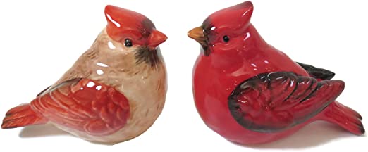 Cardinal Male and Female Salt and Pepper Shaker Set