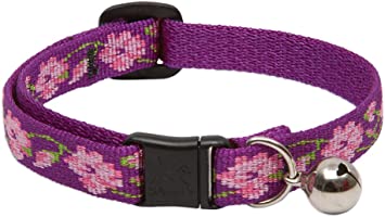 LupinePet Originals 1/2" Rose Garden Cat Safety Collar with Bell, 8-12"