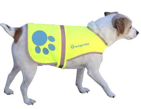 Reflective Dog Vest Medium with Adjustable Strap and Florescent Reflectors. Safety Vest for Dogs and Dog Raincoat for Walks in Rain or Snow - Reflects Car Lights for Safety. Also Used As Hunting Vest for Dogs. Lightweight & Comfortable.