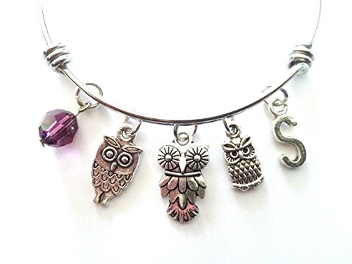 Owl themed personalized bangle bracelet. Antique silver charms and a genuine Swarovski birthstone colored element.