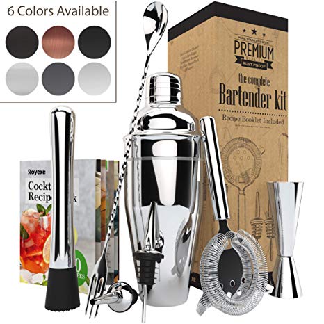 All-inclusive Bar Set | Professional Home Bartender Cocktail Shaker Set | Includes a Recipe Book & All Necessary Bar Tools and Accessories | Impressive Gift for Men! (Silver)