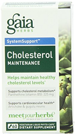 Gaia Herbs Cholesterol Maintenance, 60 Liquid Phyto-Capsules