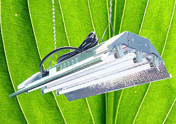 DuroLux T5 HO Indoor Grow Light - 2 FT 3 Tubes - DL823 Fluorescent Hydroponic Fixture Bloom Veg Daisy Chain with Bulbs