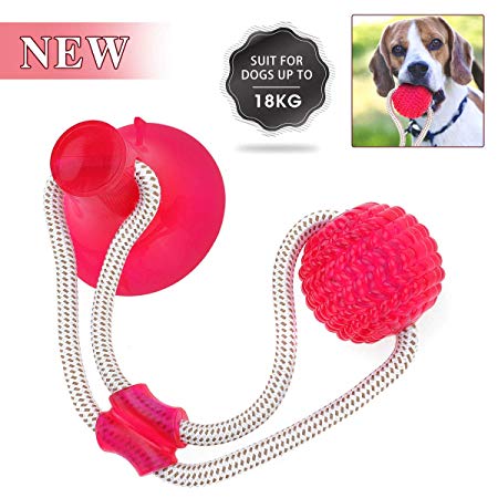 OUTERDO Pet Molar Bite Toy, Suction Cup Rubber Ball Dog Chew Toys Interactive Puppy Molar Training Rope, Tug Rope Ball Self-Playing Cleaning Teeth Multifunction For Pet Dog Puppy