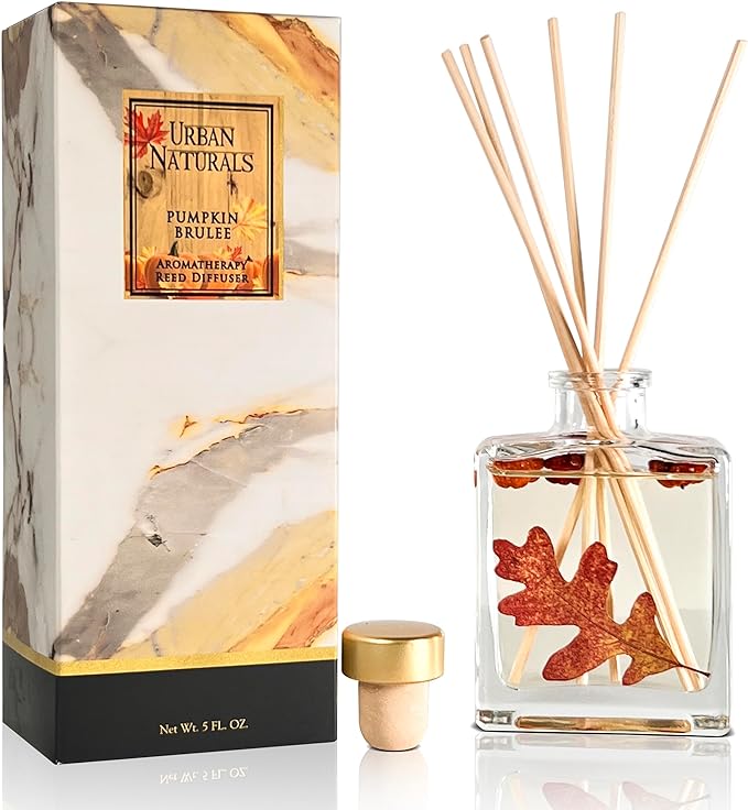 Urban Naturals Pumpkin Brulee Scented Sticks Reed Diffuser Oil Set – Fall Pumpkin Pie, Nutmeg & French Vanilla – Sleek Rectangular Refillable Glass Bottle – Made in The USA