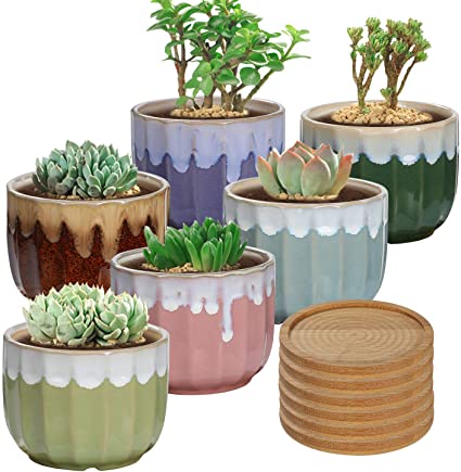 Ceramic Succulent Planter Pots Included Bamboo Trays - 6 Pack 3.5 Inch Indoor Garden Flower Plant Pots with Drainage Hole for Succulents, African Violets, Cactus, Herbs