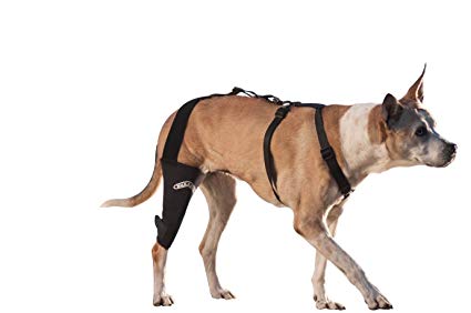 WalkAbout Canine Knee Brace 3.0 mm neoprene support sleeve
