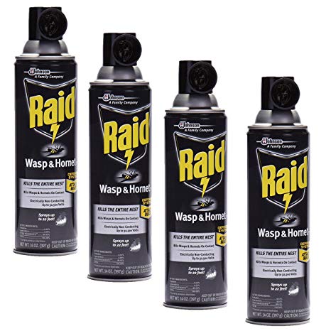 Raid Wasp and Hornet Killer, 14 oz, Liquid, Characteristic, 22 deg C, Spray Application Method, Pack of 4