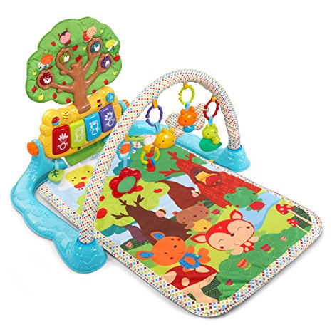 VTech Baby Lil' Critters Musical Glow Gym (Frustration Free Packaging)