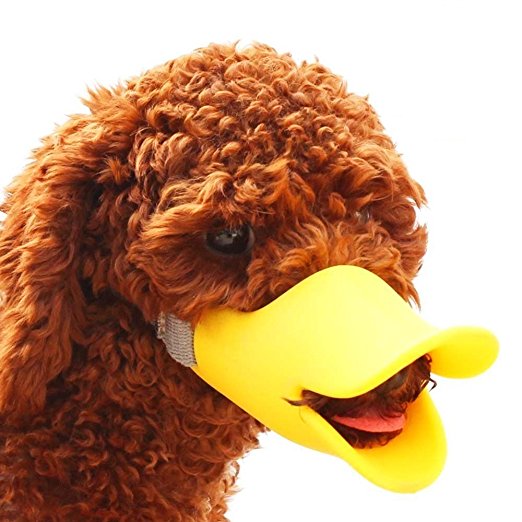 My Dog Muzzle | Adorable Anti-Bite Anti Called Cute Duck Mouth Shape Dog Mouth Cover for Protection | Comfy Flexible Rubber with Adjustable Strap for Small and Medium Dog Breed Only