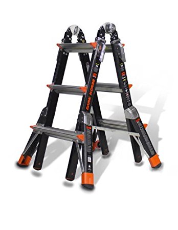 Dark Horse 375-Pound Duty Rating Fiberglass Multi-Use Ladder, 13-Feet