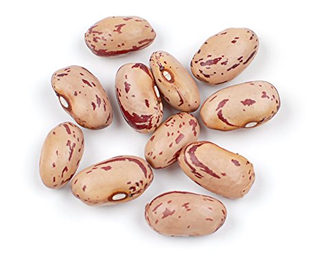 Cranberry (Borlotti) Beans, 10 Lb Bag