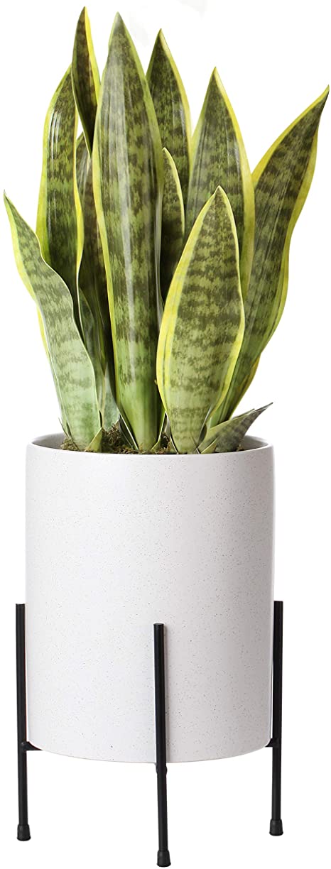 Mid Century Planter with Stand Included | 8 Inch Ceramic Plant Pot with Stand Perfect as an Indoor Planter for Snake Plant | Modern Large Ceramic Planter with Drainage Hole | Planter with Legs | White