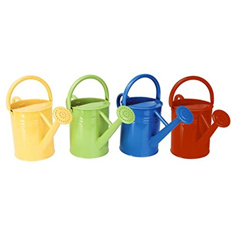 Panacea 84830 Metal Traditional Painted Watering Can, 4-Liter or 1-Gallon, Colors may Vary