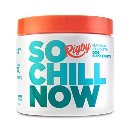 Rigby So Chill Now Calming Aid Treats for Dogs - Anxiety Relief Soft Chews with Hemp Oil - Natural Stress Relief Dog Supplements for Separation Anxiety with L-Theanine & Valerian Root - 90 Count