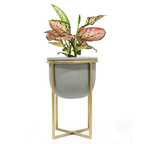 Cement Flower Pot with Stand - 6.3 Inch Tabletop Planter, Grey Herbs Orchids Cacti Succulents Pot Indoor with Gold Metal Stand