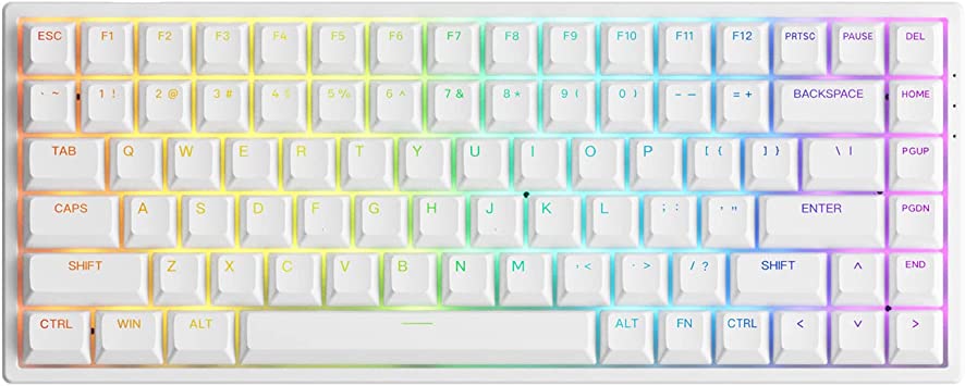 Akko 3084S 75% 84-Key RGB Hot-swappable Mechanical Gaming Keyboard, USB-Type C Wired with ASA Profile Shine-Through PBT Double-Shot Keycaps for Mac & Win (White,Akko Jelly Purple Switches)