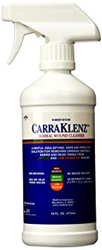 Carra-KLENZ Spray Size: 16 OZ