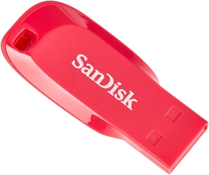 SanDisk SDCZ50C-064G-B35PE 64 GB Cruzer Blade USB 2.0 Flash Drive - Electric Pink