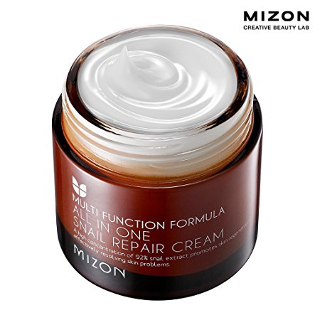 MIZON All In One Snail Repair Cream, 75 Grams