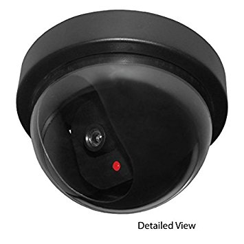 Streetwise Security Products Dome Dummy Camera with Flashing LED Light
