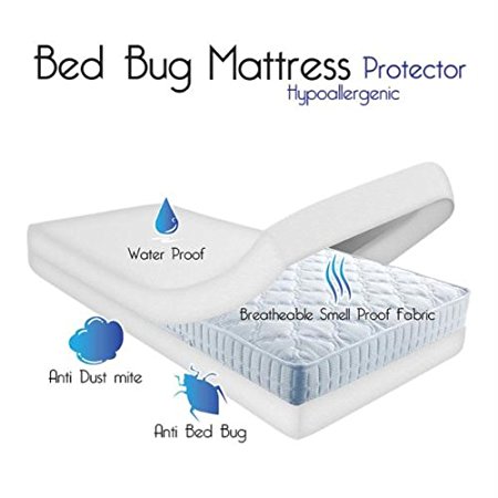 Remedy Bed Bug Dust Mite Cotton Mattress Protector, Queen