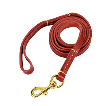 Petroad Leather Dog Training Leash, 6 Feet Long and 0.6 Inch Wide