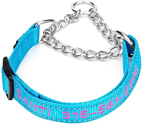 DayDay Patch Martingale Collar ,Personalized Dog Collars with Pet Name and Phone Number Custom Embroidery Stainless Steel Chain Multiple Color 4 Adjustable Collar : X-Small, Small, Medium, and Large