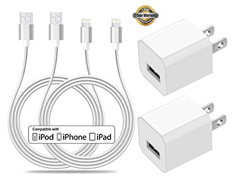Certified 5W 1A USB Power Wall Charger with 2-Pack 10FT/3M [Heavy Duty] Nylon Braided 8 Pin Lightning to USB Cable Charger (Silver) (4-Pack)