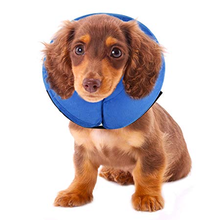 AOFU Dog Cone Collar Soft - Inflatable Dog Collars for After Surgery - Adjustable Protective Inflatable Dog Collar for Small Medium Large Dogs - Large(Blue)