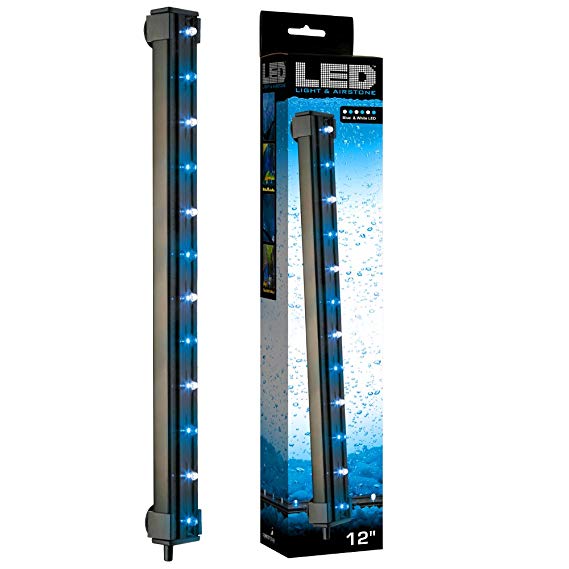 ViaAqua 12in 2.7 watt Blue & White LED Light & Airstone