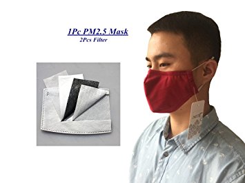 ZWZCYZ Cotton PM2.5 Pollen Anti Haze Can Be Washed Reusable Mouth Mask Anti Dust Mask Activated Carbon Filter Windproof Respirator Mouth-muffle Flu Face Masks (Wine Red)