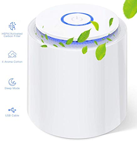 Duomishu Mini Air Purifier with True HEPA Filter Portable Desktop Purifiers with Aromatherapy Function, Night Light, USB Cable for Dust, Allergies, Pets Dander, Pollen, Odors