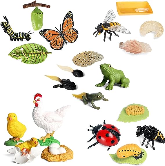 OrgMemory Animals Figures, 20pcs Insect Toys, Life Cycle of Action Model, Plastic Bug Figurines Toy, Early Educational Toys Science Project Christmas Birthday Gift for Kids (Set A)