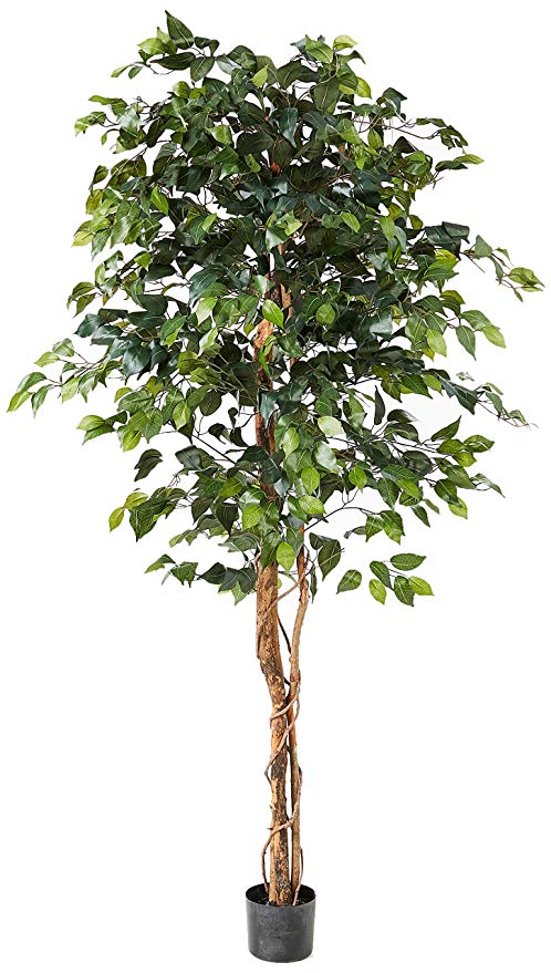 Nearly Natural 5209 Ficus Silk Tree, 6-Feet, Green