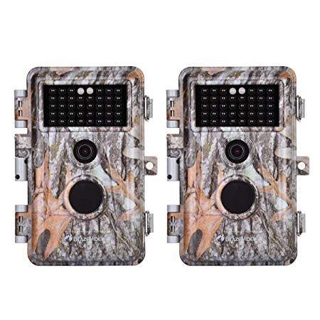 BlazeVideo 2-Pack No Glow Wildlife Trail Cameras Game & Outdoor Hunting Scouting Animal Cam 16MP 1080P with Night Vision & Video Recording, Motion Activated Waterproof IP66 and Password Protected