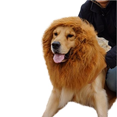 PanDaDa Large Pet Dog Lion neckerchief Collar Wigs Mane Hair Labrador Golden retriever lanmu