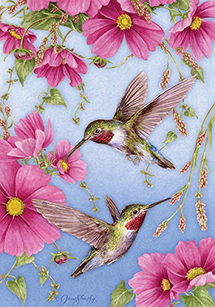 Toland Home Garden Hummingbirds With Pink 28 x 40 Inch Decorative Spring Summer Bird Flower House Flag