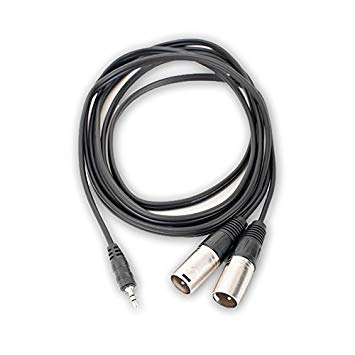 AxcessAbles TRS18-DXLR402M 6.5ft Audio Cable, 3.5mm TRS to 2 XLR Male Ends- Connecting 1/8" Headphone Aux from Smartphone, Laptop, Notebook to Mixing Console or Powered Speakers (6.5ft)