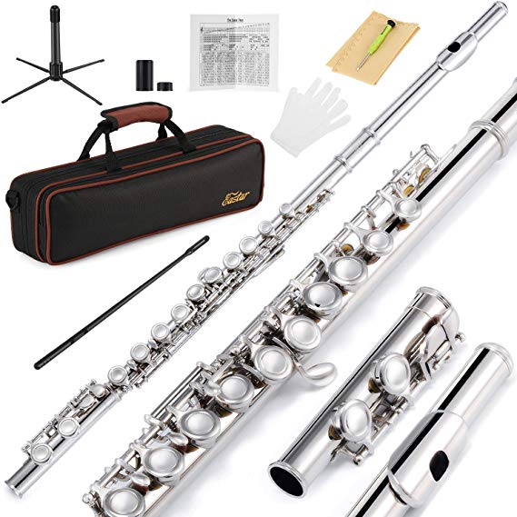 Eastar EFL-1 Closed Hole 16 Key C Flute Nickel Beginner Flute Set With Carrying Case Stand Gloves Cleaning Rod and Cloth