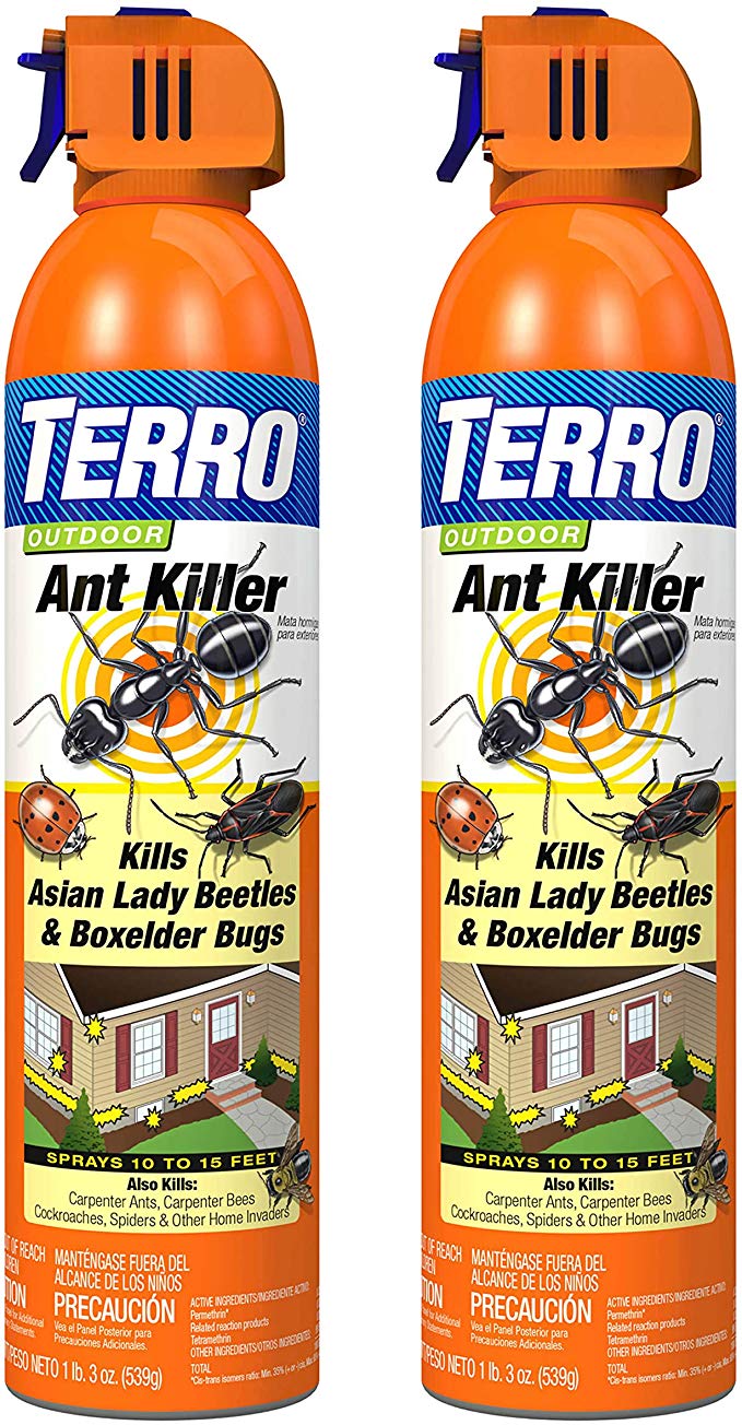 Terro T1700SR 19 oz Outdoor Ant Killer Spray-2 Pack, White