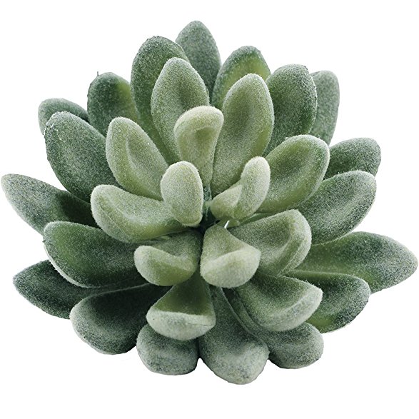 Supla Pack of 4 Artificial Echeveria Succulent Picks in Flocked Green 3.33”Wide x 5”Tall