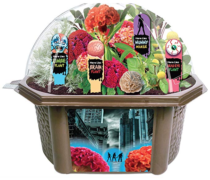 Toys By Nature Create Your Own Zombie Apocalypse - Complete Kids Terrarium Kit to Grow Plants That Look Like Real Brains and Eyeballs - Includes Everything Needed to Start Your House of Horrors